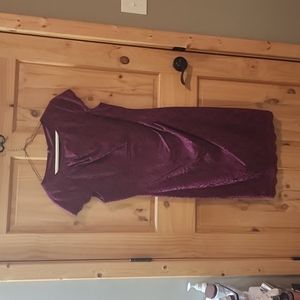 Adrianna Papelle Dress